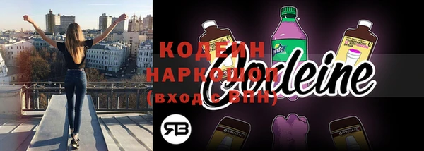 прущие грибы Переславль-Залесский