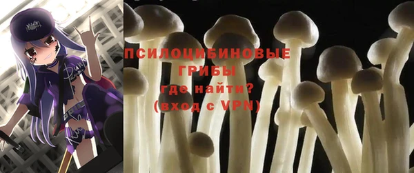 прущие грибы Переславль-Залесский