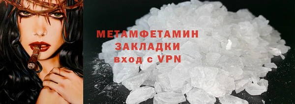 прущие грибы Переславль-Залесский