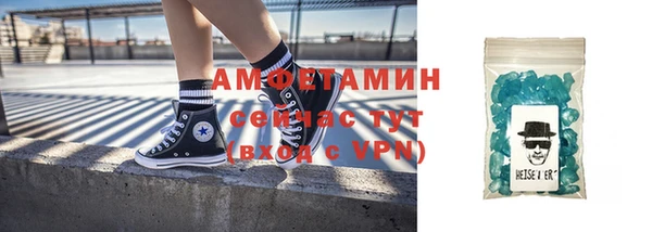 прущие грибы Переславль-Залесский
