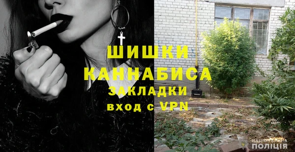 прущие грибы Переславль-Залесский