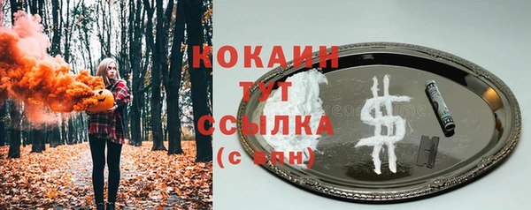 мет Пересвет