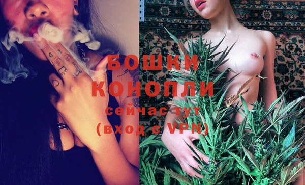 прущие грибы Переславль-Залесский
