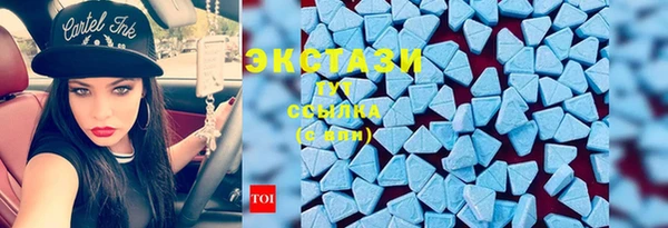 прущие грибы Переславль-Залесский