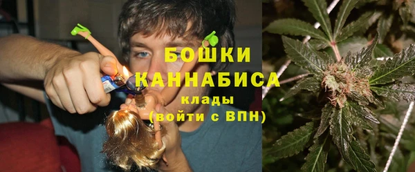 прущие грибы Переславль-Залесский