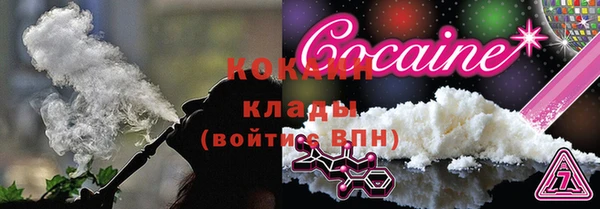 прущие грибы Переславль-Залесский