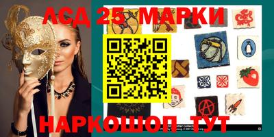 прущий лед Будённовск