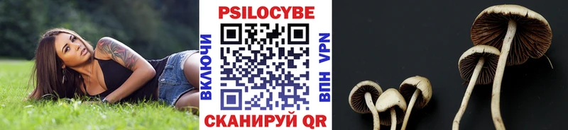 купить  цена  Татарск  гидра зеркало  Галлюциногенные грибы GOLDEN TEACHER 