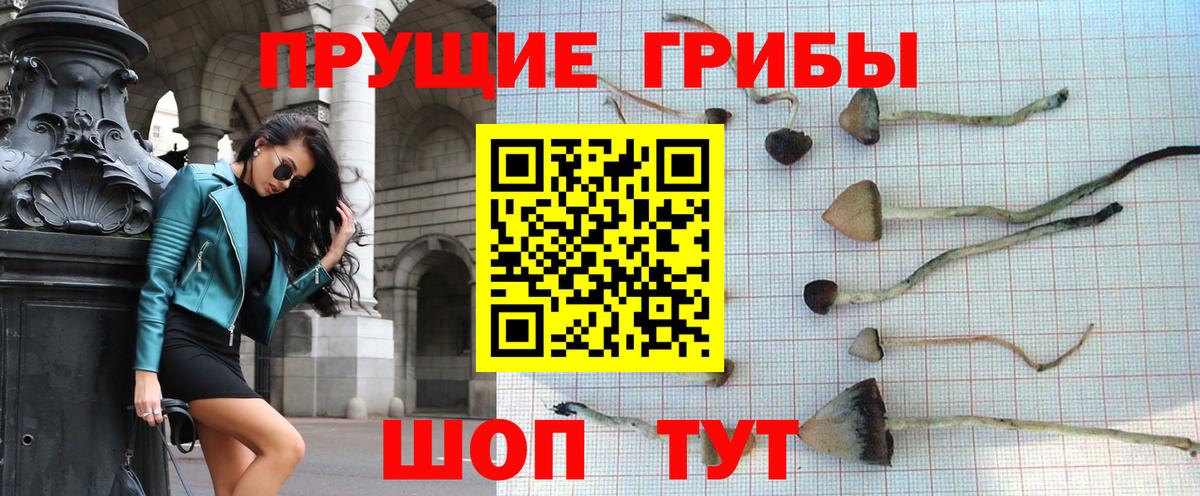 Татарск  Галлюциногенные грибы Magic Shrooms  Вход с VPN  Псилоцибиновые грибы мицелий 