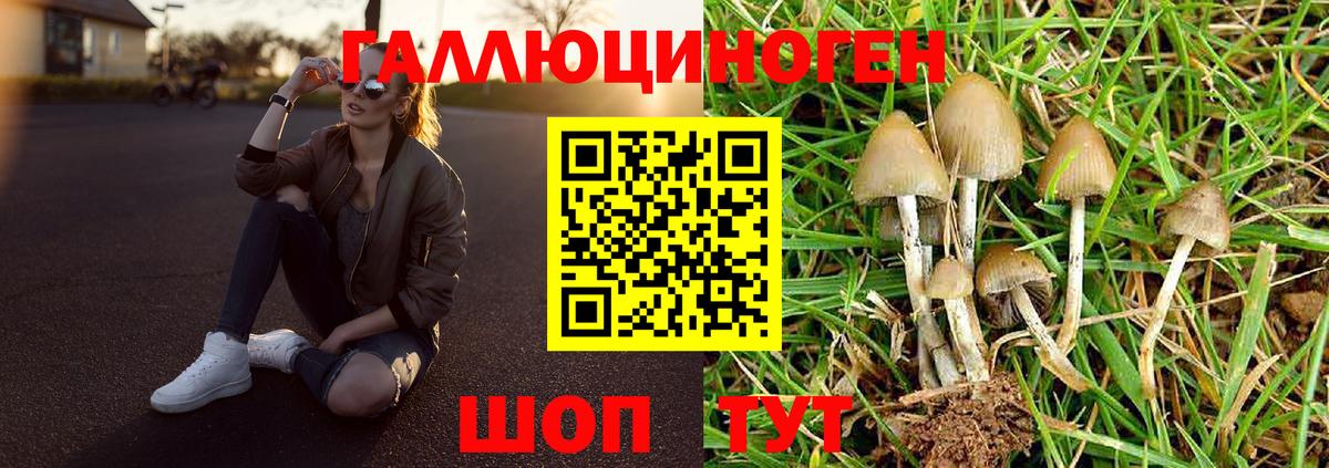 Псилоцибиновые грибы Magic Shrooms  как найти закладки  Татарск 