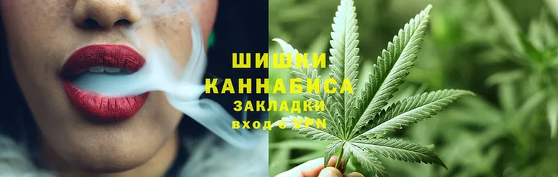 купить наркотик  ссылка на мегу ссылки  Бошки Шишки SATIVA & INDICA  Татарск 