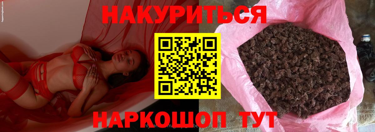 Каннабис план Татарск